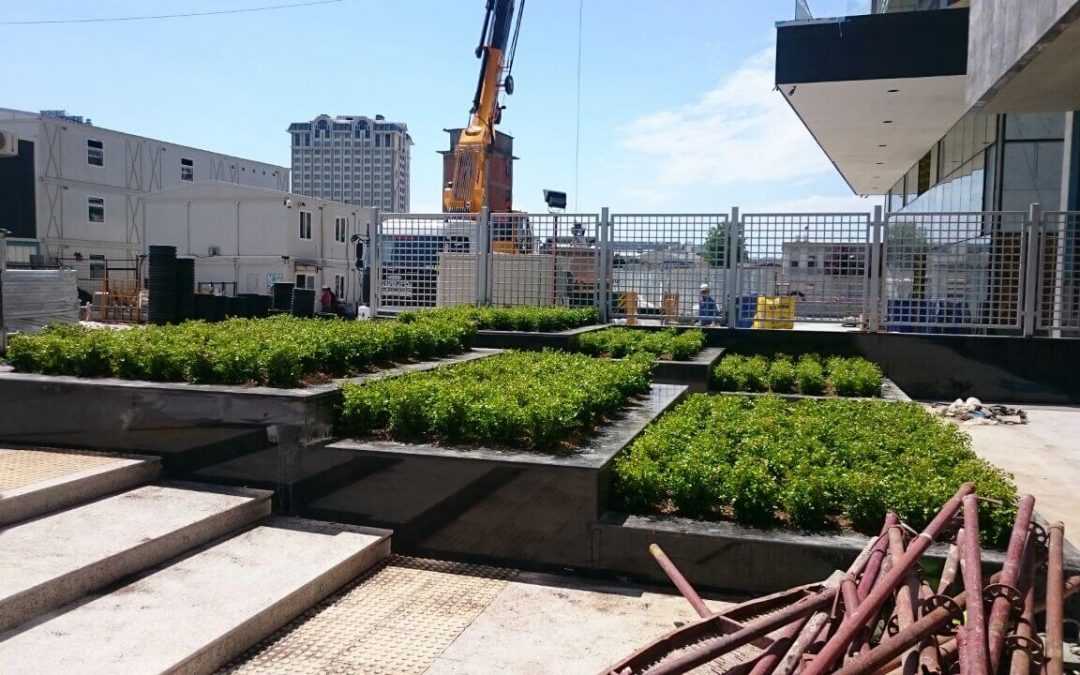 Ataköy Towers Projesi