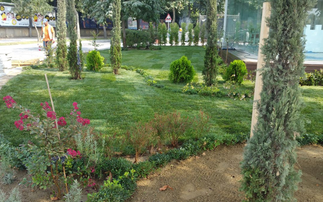 MFA Satış Ofisi Projesi